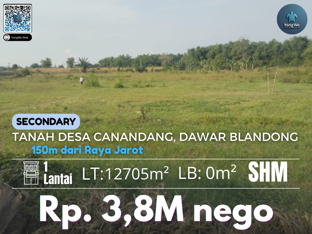 Tanah